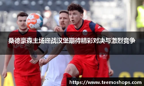 桑德豪森主场迎战汉堡期待精彩对决与激烈竞争
