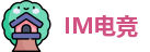 IM电竞